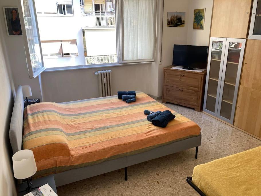Vibes Appartement